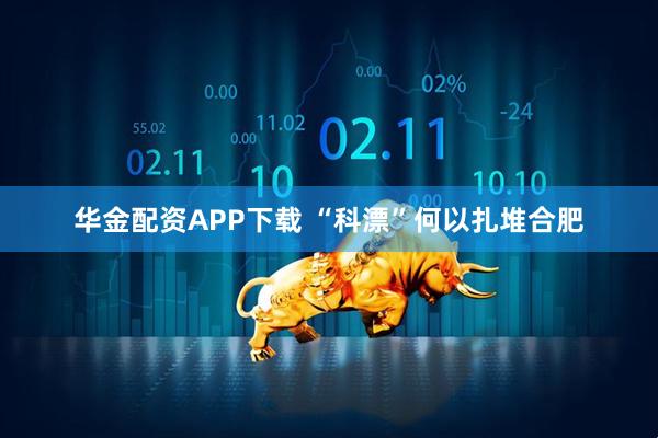 华金配资APP下载 “科漂”何以扎堆合肥